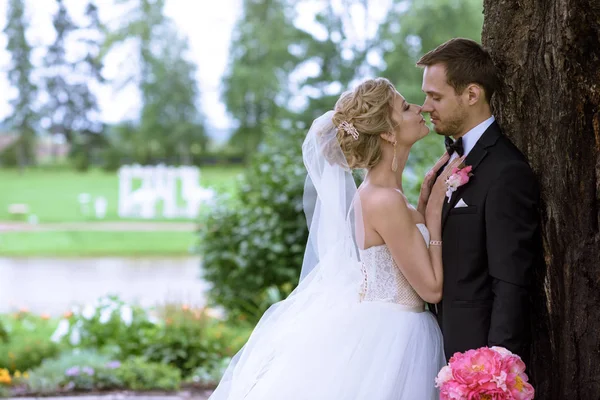 Wedding couple on garden — Stock Photo, Image