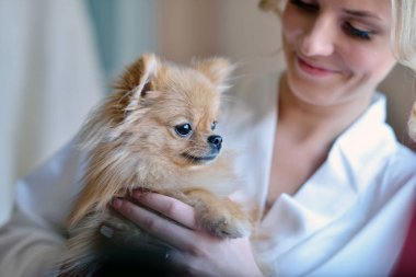 Güzellik gelin soyunma elbise ile kapalı sevimli bir köpek. Güzel model kız köpek yavrusu ile renkli düğün elbise içinde. Sevimli Bayan kadın portresi. Kadın saç modeli ile