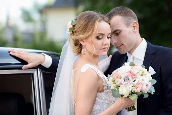 Hochzeitspaar in der Natur umarmt sich — Stockfoto