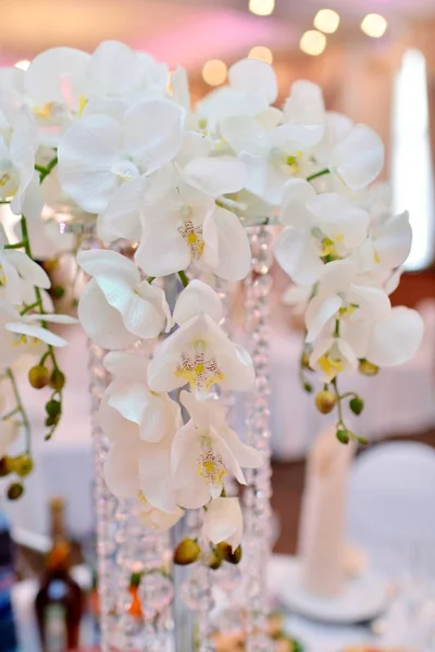 婚姻的美丽婚礼餐厅 为新娘和新郎的白色装饰 庆祝的的多彩装饰 美丽新娘的内政 食品和鲜花在大厅里 — 图库照片