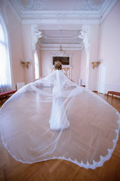 Piękna panna młoda w sukni ślubnej z koronkowy welon pomieszczeniu — Zdjęcie stockowe