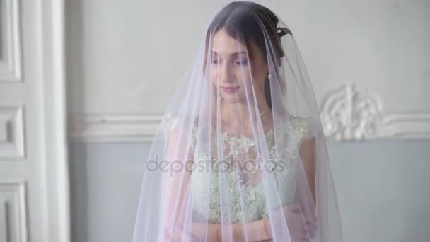 Hermosa Novia Joven Vestido Novia Magnífico — Vídeos de Stock