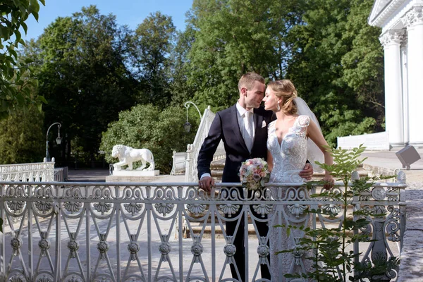 La pareja de boda en la naturaleza se está abrazando — Foto de Stock