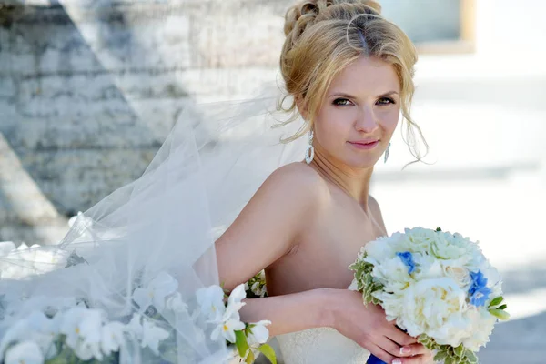 Belleza novia en vestido de novia con ramo y velo de encaje en la naturaleza —  Fotos de Stock