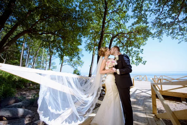 Bruidspaar op de natuur is knuffelen elkaar — Stockfoto