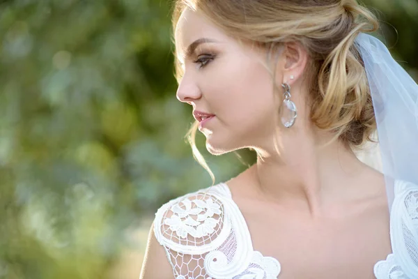 Невеста-красавица в свадебном платье с кружевной вуалью на природе — стоковое фото