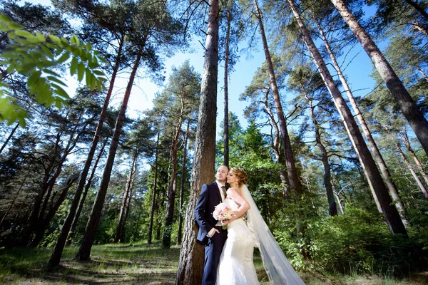 Bruidspaar op de natuur is knuffelen elkaar — Stockfoto