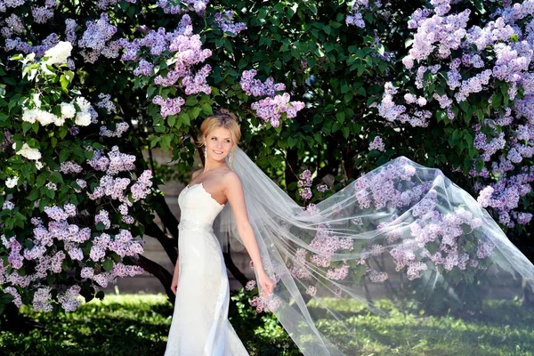 Krásu nevěsty ve svatební šaty s krajkovým závojem na povaze — Stock fotografie