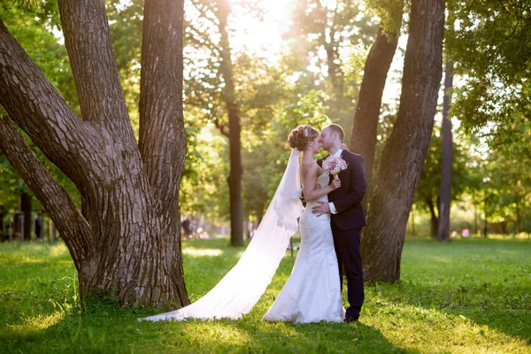 Esküvő házaspár a természet átölelte egymást — Stock Fotó
