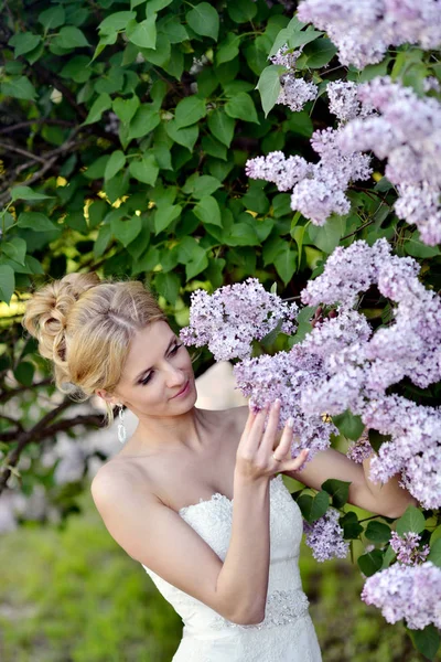 Belleza novia en vestido de novia con velo de encaje en la naturaleza —  Fotos de Stock