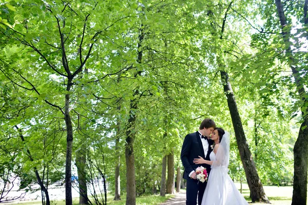 Hochzeitspaar in der Natur umarmt sich — Stockfoto