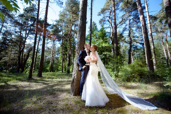 Bruidspaar op de natuur is knuffelen elkaar — Stockfoto