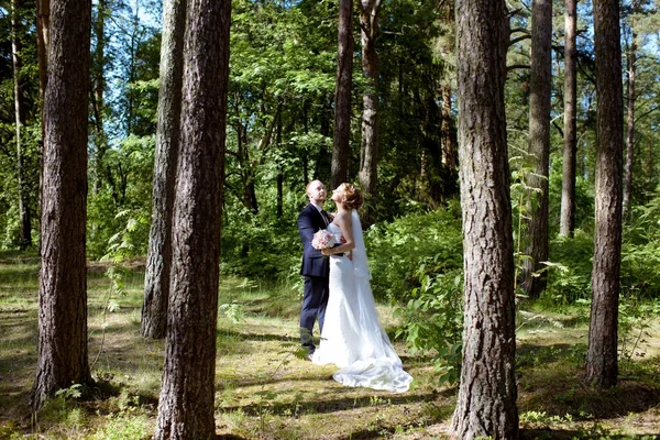 Bruidspaar op de natuur is knuffelen elkaar — Stockfoto