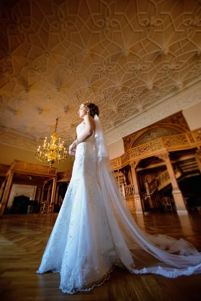 Noiva de beleza em vestido de noiva com véu de renda dentro de casa — Fotografia de Stock