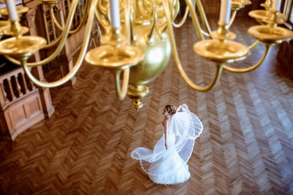 Bellezza sposa in abito da sposa con velo di pizzo all'interno — Foto Stock