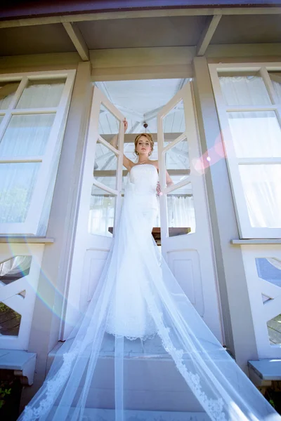 Belleza novia en vestido de novia con velo de encaje en la naturaleza —  Fotos de Stock