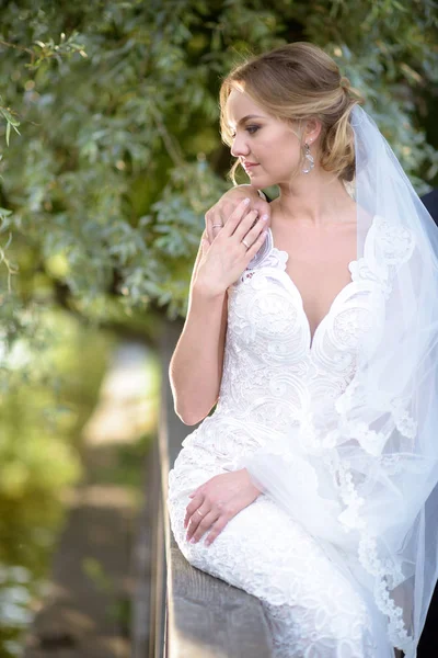 Noiva de beleza em vestido de noiva com véu de renda na natureza — Fotografia de Stock