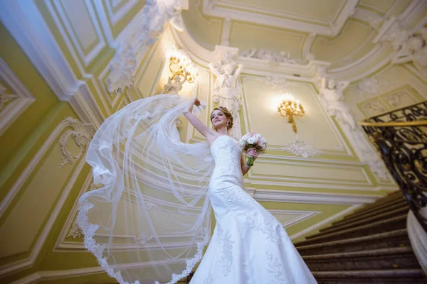 Ομορφιά νύφη στο νυφικό πέπλο δαντέλα σε εσωτερικούς χώρους — Φωτογραφία Αρχείου