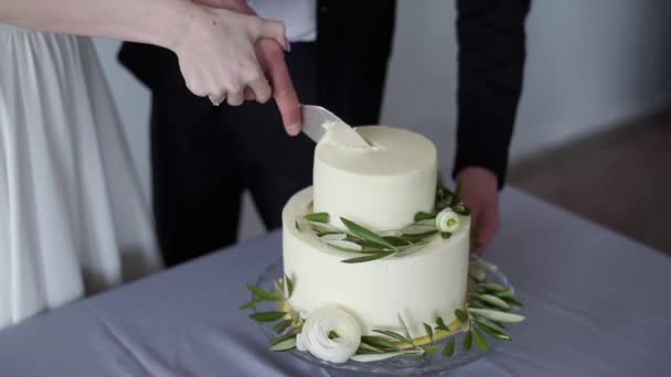 Просто Женатая Пара Разрезает Свадебный Торт — стоковое видео