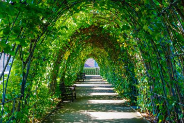 Geçit tarafından yeşil yapraklarla kaplı