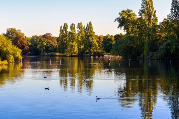 Widok na długo wodę w Hyde Park — Zdjęcie stockowe