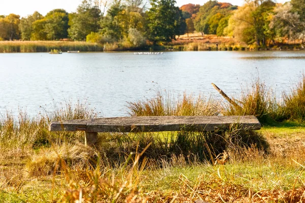 Wooden Bench in Richmond Park, London — Stock Photo, Image