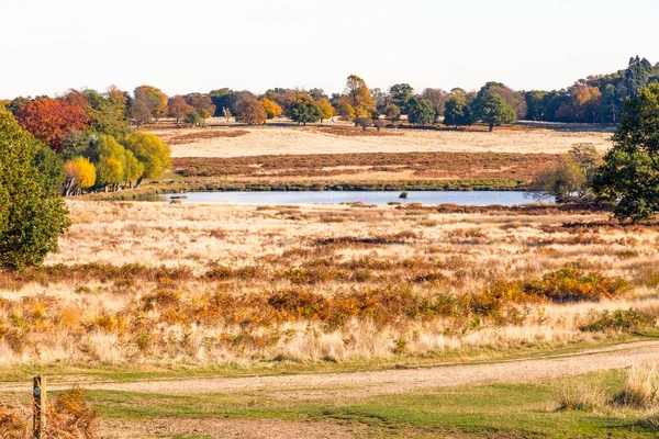 Escena de otoño en Richmond Park — Foto de Stock