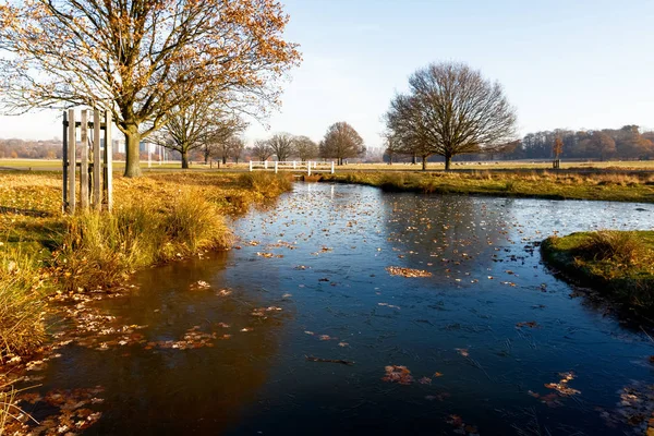 Donmuş gölde Richmond Park