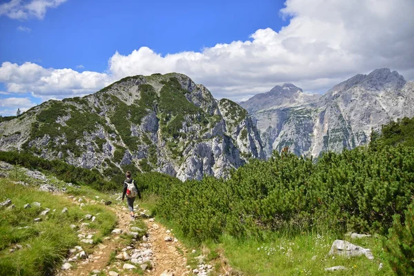 Mahalle Dağlar Slovenya Dağda Pokljuka Üzerinden Görüntülemek — Stok fotoğraf