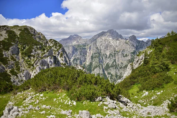 Θέα Από Βουνό Pokljuka Στην Γειτονιά Βουνά Σλοβενία — Φωτογραφία Αρχείου