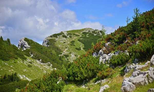 视图从 Pokljuka 山在邻里山 斯洛文尼亚 — 图库照片