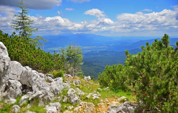 Blick Vom Pokljuka Gebirge Auf Die Nachbarberge Slowenien — Stockfoto