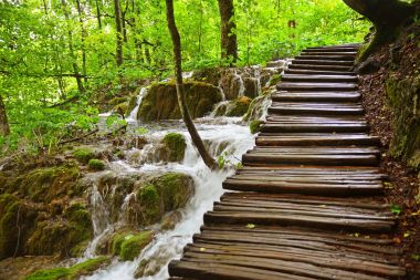 Plitvice Gölleri Hırvatistan orta kısmında görüntüleyin