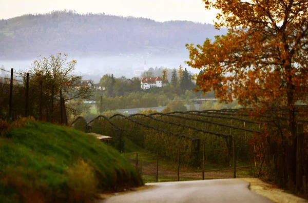 Foggy Morning Lukovica Town Slovenia — Stock Photo, Image