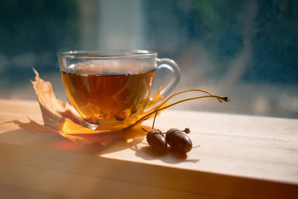 Autumn Still Life: Tea on maple leaves on a wooden table near the window. The sun's rays on a cup of brewed tea. Cup of hot tea on a sunny day on a window background. — Stock Photo, Image