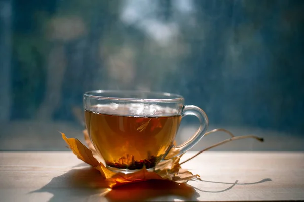 Őszi csendélet: Tea maple hagy egy fából készült asztal az ablak mellett. A nap sugarai egy csésze főzött tea. Forró teát egy napfényes nap, egy ablak háttér. — Stock Fotó