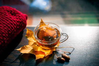 Sonbahar Natürmort: Akçaağaç çay pencerenin yakınındaki ahşap bir masa üzerinde bırakır. Güneş ışınları üzerinde demlenmiş çay. Güneşli bir pencere arka plan üzerinde sıcak çay.