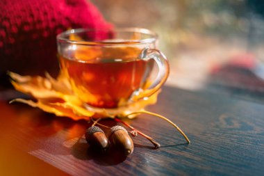 Sonbahar Natürmort: Akçaağaç çay pencerenin yakınındaki ahşap bir masa üzerinde bırakır. Güneş ışınları üzerinde demlenmiş çay. Güneşli bir pencere arka plan üzerinde sıcak çay.