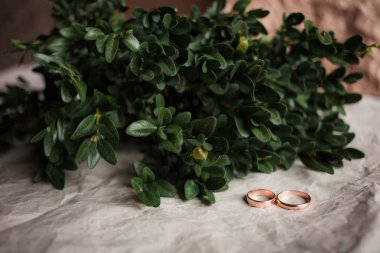 Düğün. Kraft Bumacov yeşil yapraklı bitkiler ile düğün halkalar. Alyans dal.