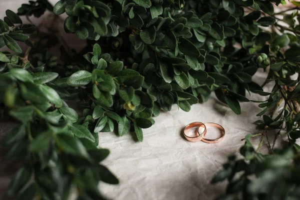 Casamento. Anéis de casamento em kraft Bumacov com plantas folhosas verdes. Anéis de casamento em um ramo . — Fotografia de Stock