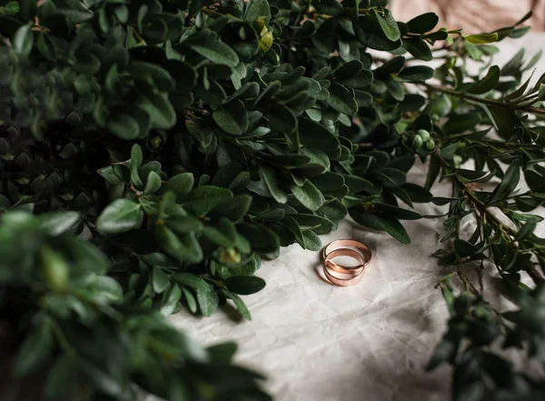 Wedding. Wedding rings on kraft Bumacov with green leafy plants. Wedding rings on a branch.