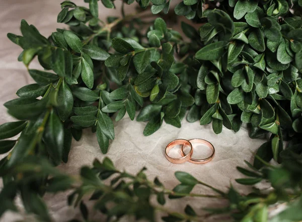 Boda. Anillos de boda en kraft Bumacov con plantas de hojas verdes. Anillos de boda en una rama . — Foto de Stock