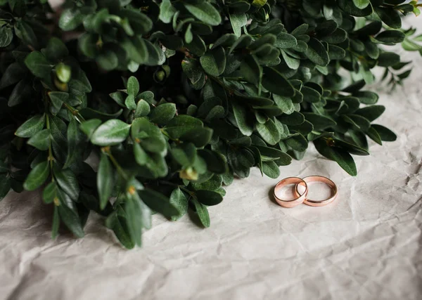 Boda. Anillos de boda en kraft Bumacov con plantas de hojas verdes. Anillos de boda en una rama . —  Fotos de Stock