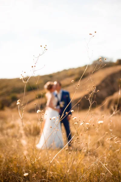 Autumn wedding. Young wedding couple enjoying romantic moments. Wedding celebrations. Love. Wedding. Bride and groom. Husband and wife. — Stock Photo, Image