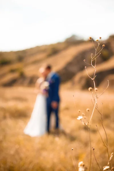 Casamento de outono. Casal jovem desfrutando de momentos românticos. Celebrações de casamento. Com amor. Casamento. Noiva e noivo. Marido e mulher . — Fotografia de Stock