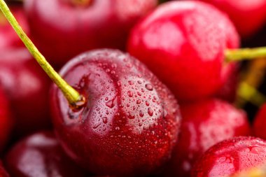 Kiraz arka plan. İzole kiraz. Kırpma yolu ile beyaz arka plan üzerinde izole kiraz meyve. Tatlı beyaz izole kiraz