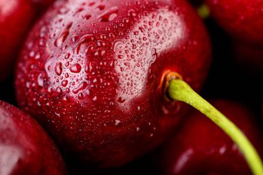 Kiraz arka plan. İzole kiraz. Kırpma yolu ile beyaz arka plan üzerinde izole kiraz meyve. Tatlı beyaz izole kiraz