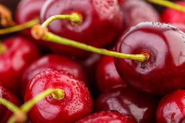 Kiraz arka plan. İzole kiraz. Kırpma yolu ile beyaz arka plan üzerinde izole kiraz meyve. Tatlı beyaz izole kiraz