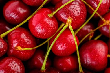 Kiraz arka plan. İzole kiraz. Kırpma yolu ile beyaz arka plan üzerinde izole kiraz meyve. Tatlı beyaz izole kiraz