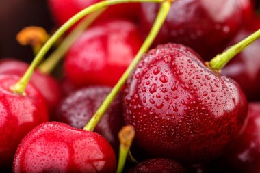 Kiraz arka plan. İzole kiraz. Kırpma yolu ile beyaz arka plan üzerinde izole kiraz meyve. Tatlı beyaz izole kiraz